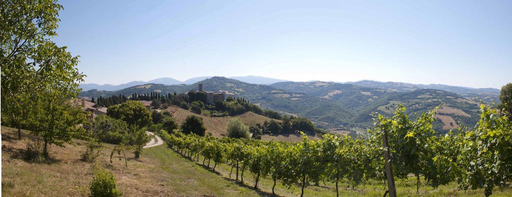Agriturismo Tenuta Di Biscina Luaran gambar