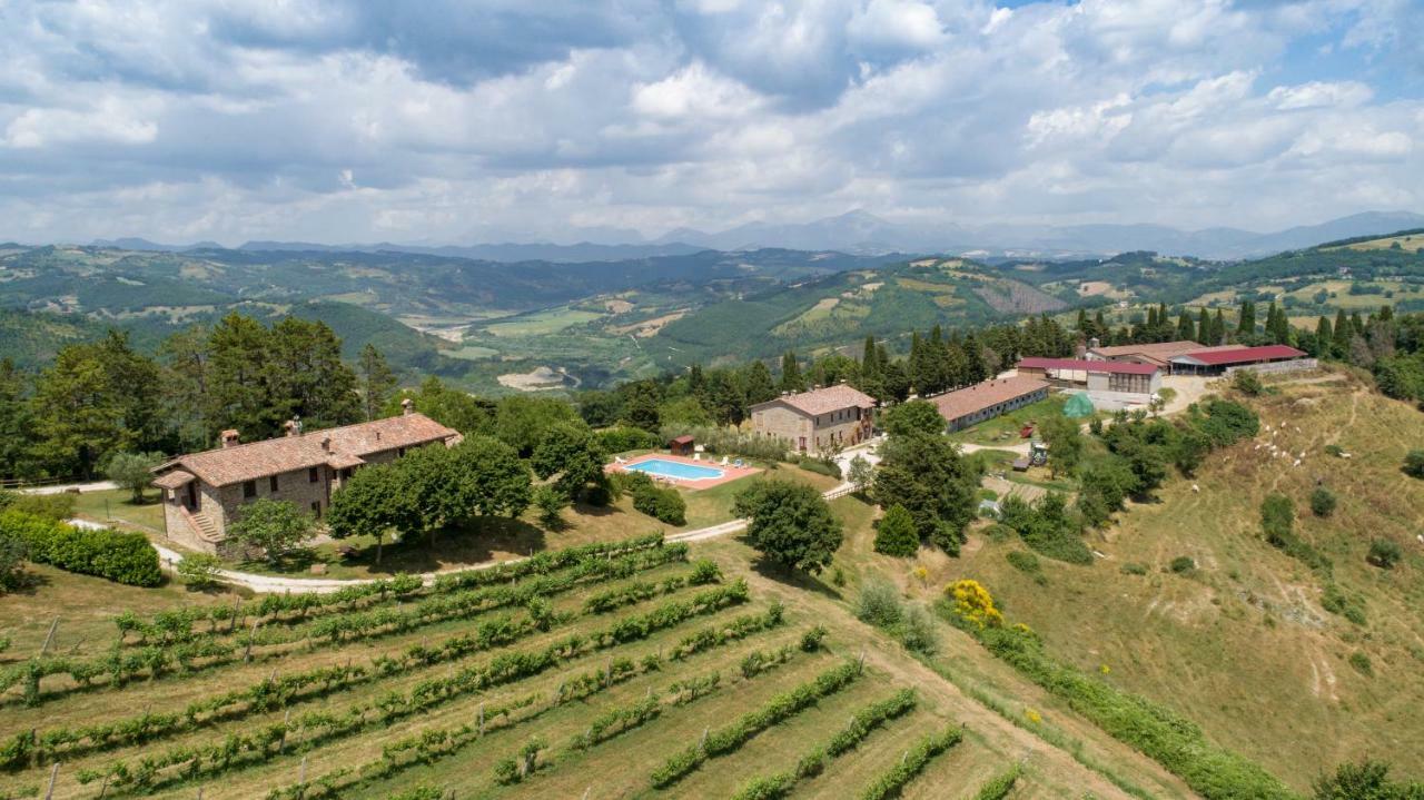 Agriturismo Tenuta Di Biscina Luaran gambar