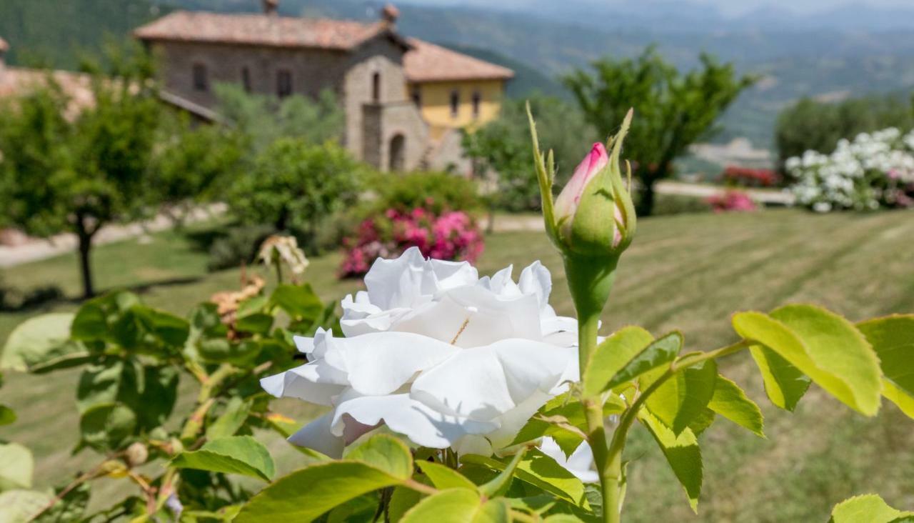 Agriturismo Tenuta Di Biscina Luaran gambar